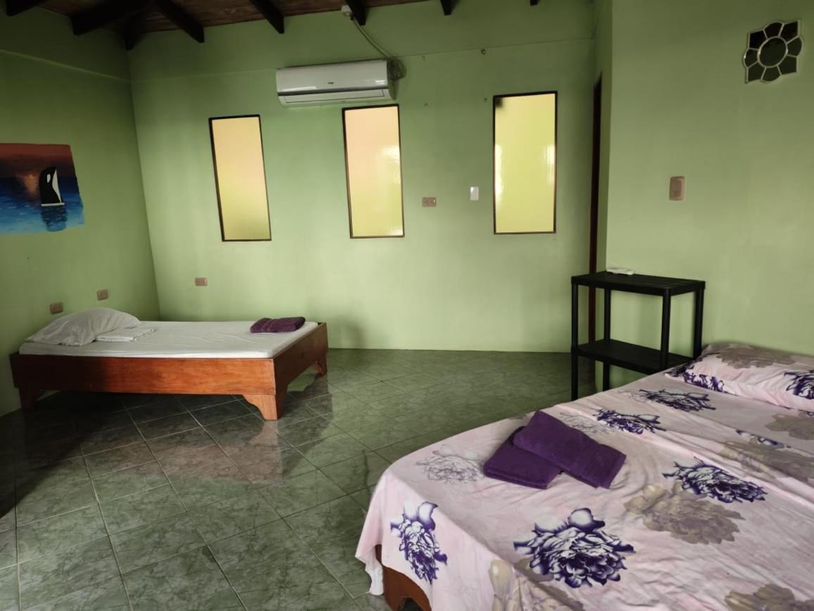 אוביטה Ballena Paraiso Lodge מראה חיצוני תמונה
